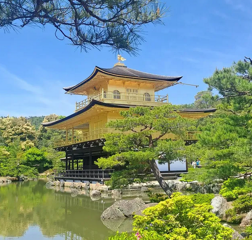 Screenshot 2025-11-18 100624