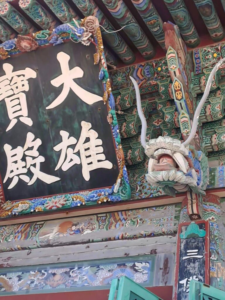 VideoCapture_20240427-221813